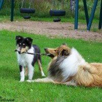 Hatchi och Atlas