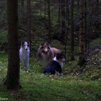 Minta, Atlas och Hatchi