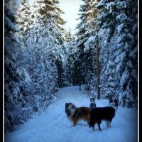 Promenad, Atlas, Minta & Hatchi