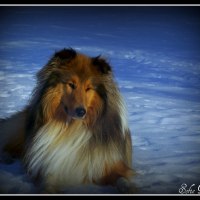 Ottey's Watch His Name "Atlas"