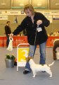 Therese med Ottey's That's My Boy som blev BIG-3 valp
