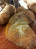 Levain