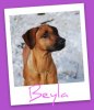 Beyla