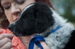 liten_hund_skordefesten_therese_tingberg_4208x2768