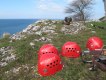 Högklint hjälmar