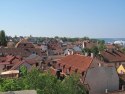 IMG_0488
