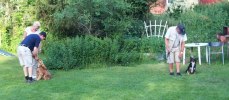 2010-06-28k3 054ny