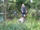 DSC00295