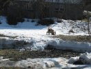 Lisa1 072