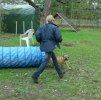 Agility Bobby o Berit 3