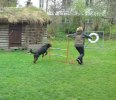 Agility Ikaros o Ann 1