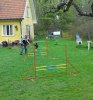 Agility Lasy o Veijo4