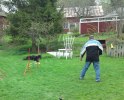 Agility Lasy o Veijo 1