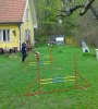 Agility Yatzy o Johan2