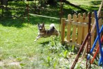 DSC_0022 (640x428)