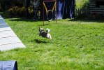 DSC_0024 (640x428)
