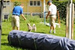 DSC_0030 (640x428)