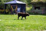 DSC_0054 (640x428)