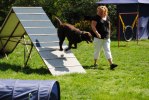 DSC_0082 (640x428)