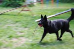 DSC_0161 (640x428)