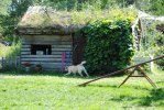DSC_0187 (640x428)