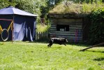 DSC_0227 (640x428)