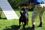 DSC_0246 (640x428)