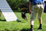 DSC_0247 (640x428)