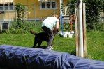DSC_0299 (640x428)