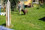 DSC_0308 (640x428)