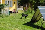 DSC_0318 (640x428)