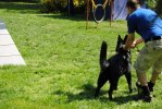 DSC_0370 (640x428)