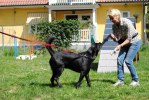 DSC_0460 (640x428)