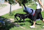 DSC_0476 (640x428)