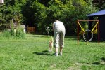 DSC_0489 (640x428)