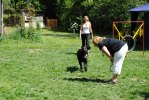 DSC_0533 (640x428)