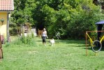 DSC_0562 (640x428)