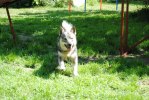 DSC_0581 (640x428)