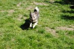 DSC_0617 (640x428)