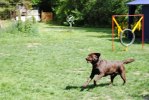 DSC_0646 (640x428)