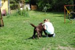 DSC_0658 (640x428)