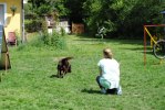 DSC_0659 (640x428)