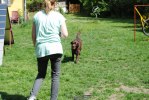 DSC_0669 (640x428)