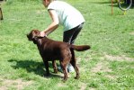 DSC_0670 (640x428)