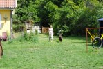 DSC_0677 (640x428)