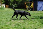 DSC_0693 (640x428)