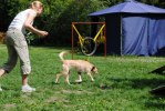 DSC_0714 (640x428)