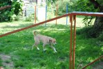 DSC_0730 (640x428)