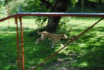 DSC_0736 (640x428)