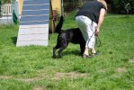 DSC_0770 (640x428)